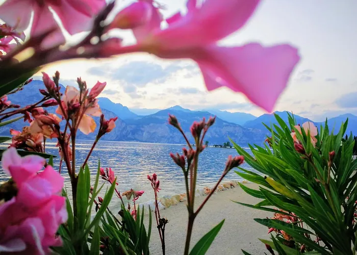 Drago By Double Hospitality 호텔 브렌조네 술 가르다